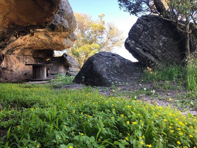 0 Bedroom Property for Sale in Nieuwoudtville Northern Cape